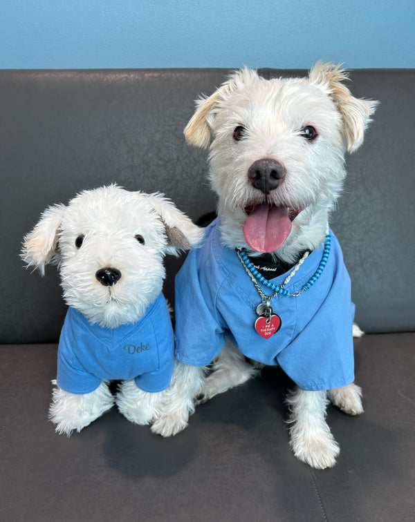 The Dogtor Deke Stuffy - PawkeyDogs